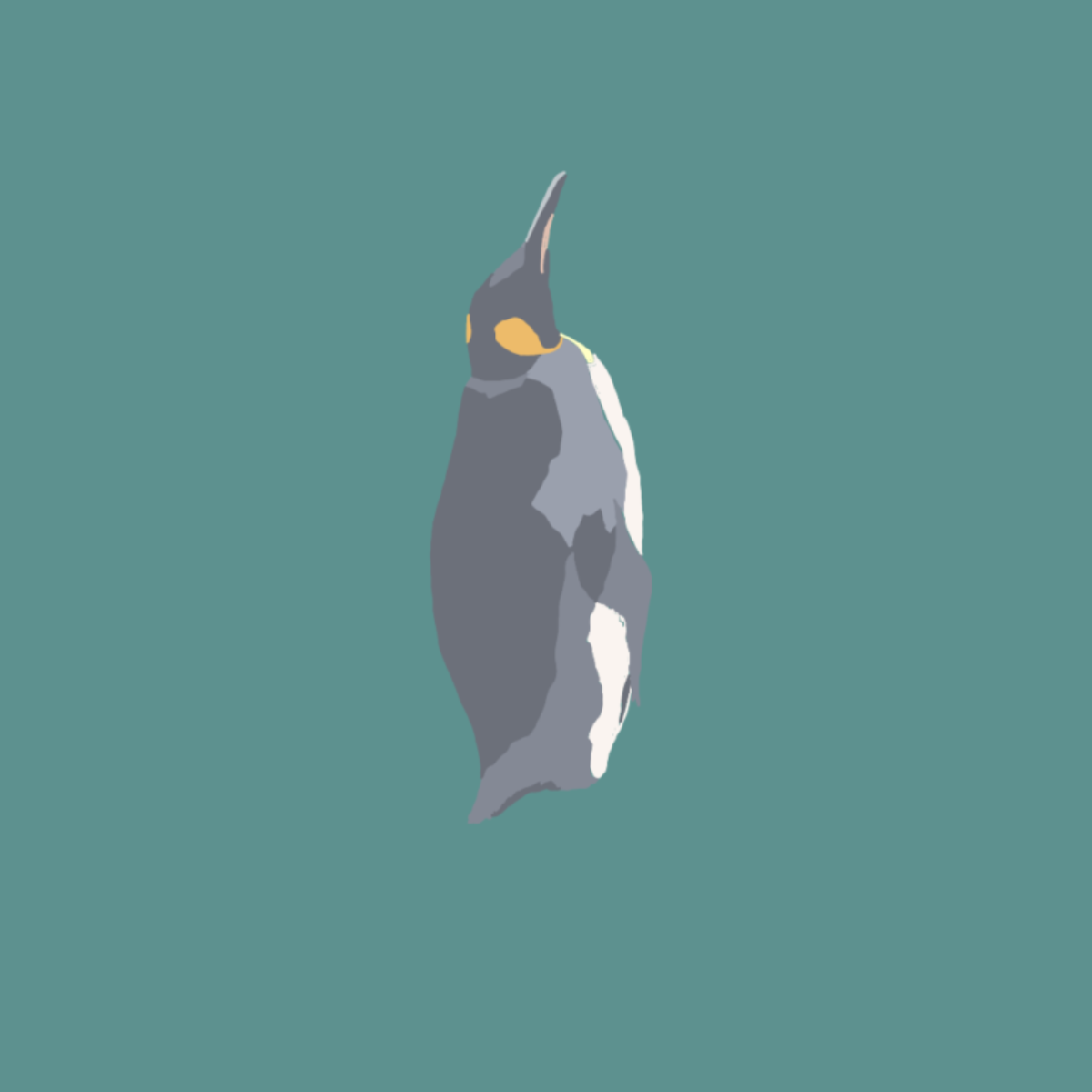 コウテイB